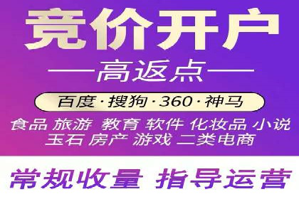 抖音信息流广告在电商行业的应用案例